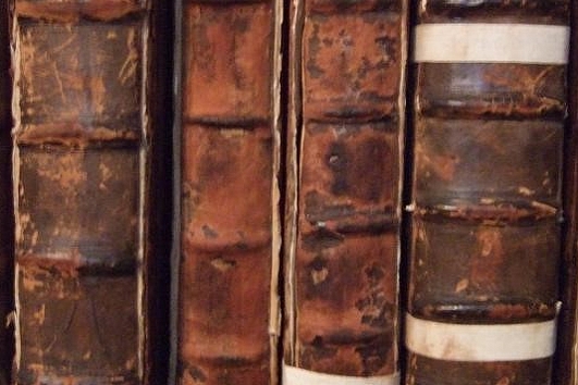 Figure 2 — The surface of an antique bellows leather that has suffered red rot from damp, warm storage — the vegetable-tanned skin degraded to a red, powdery, friable surface that dusts off on a fingertip.